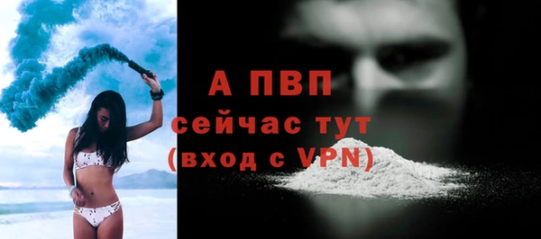 стафф Алексин