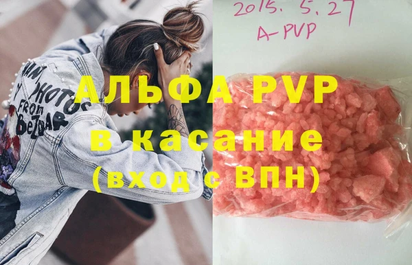 стафф Алексин