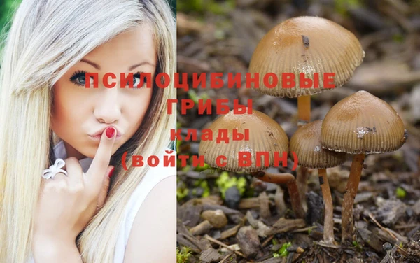 стафф Алексин