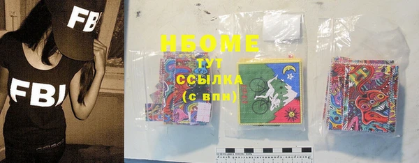 стафф Алексин