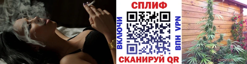 кракен ТОР купить закладку нарко площадка официальный сайт Конопля сатива Муравленко